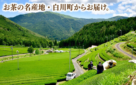 【4回定期便】白川茶「二ッ森」 3パックセット お茶 緑茶 茶葉 白川町 / ますぶち園[AWAC001]