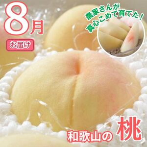【全2回】かつらぎ町のフルーツ定期便ミニ（桃・梨）【8月・9月】【tkb427】