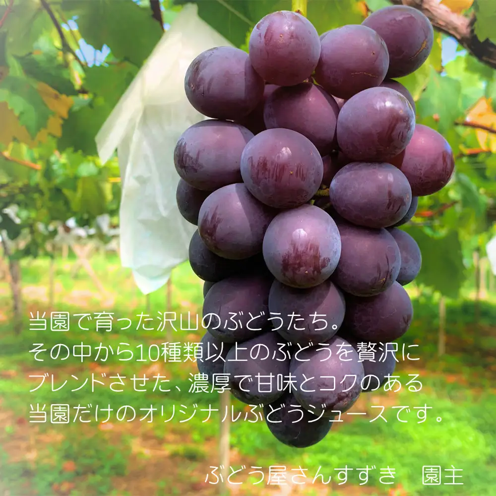 No.528 【ぶどう屋さんすずき】オリジナルブレンド100％ぶどうジュース　2本 ／ 飲み物 グレープ 葡萄 厳選 甘み 酸味 ブレンド 100％ 炭酸 焼酎 愛知県