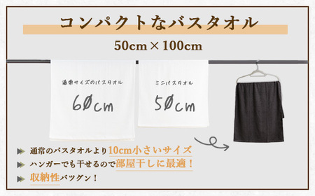 【泉州タオル】部屋干しに最適！ミニバスタオル 2枚セット（同色） ｜ ビッグフェイスタオル コンパクトバスタオル 小さめ バスタオル スマートサイズ ハンガー 干せる 部屋干し 速乾 収納 吸水 髪 日本製 新生活 ※離島への配送不可