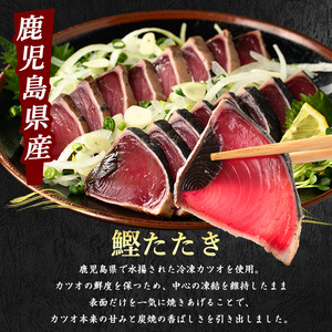 カツオ ブリのたたき だし ポン酢付き 海の幸満喫セット 指宿食品 IB026-001 かつお 鰹 
