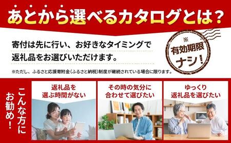 あとから選べる オンラインカタログ 10万円 有効期限なし 後から選べる 定期便 あとからチョイス あとからギフト あとからセレクト ふるさとギフト おすすめ あとで選べる 訳あり みかん かつおのたたき 刺身 紅まどんな フルーツ 果物 カツオ スイーツ オレンジ 甘平 河内晩柑 まどんな 夢オレンジ 文旦 ポンカン 鰹 鯛 真鯛 魚 柑橘 100000円 愛媛県 愛南町
