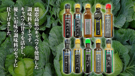 【訳あり】 肉料理のタレ おまかせ 5本 詰め合わせ [AH059tu]