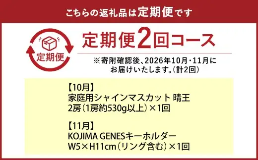 【全2回定期便】家庭用 シャインマスカット 晴王 2房（1房約530g以上）＋ KOJIMA GENES キーホルダー フルーツ 果物 ブドウ ぶどう 葡萄 シャインマスカット マスカット 国産 ギフト 贈答 【2026年10月・11月発送予定】