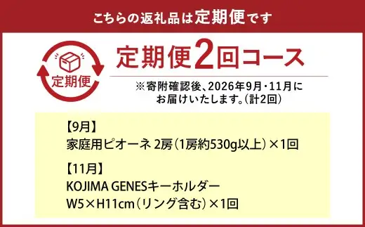 【全2回定期便】 家庭用 ピオーネ 2房（1房約530g以上）＋ KOJIMA GENES キーホルダー フルーツ 果物 ブドウ ぶどう 葡萄 国産 ギフト 贈答 【2026年9月・11月発送予定】