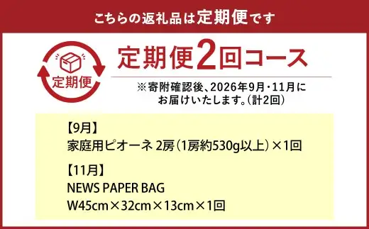 【全2回定期便】 家庭用 ピオーネ 2房（1房約530g以上）＋ NEWS PAPER BAG（INDIGO） フルーツ 果物 ブドウ ぶどう 葡萄 国産 ギフト 贈答 【2026年9月・11月発送予定】