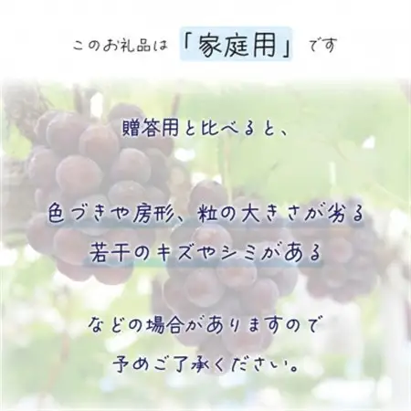 岡山　花笑み農園の『ニューピオーネ』家庭用　約2kg(3～5房)　P-2家【配送不可地域：離島】【1692569】