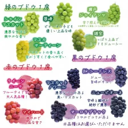岡山　花笑み農園のブドウ『彩り3種セット』贈答用　1.8kg (3房) 3M-2上【配送不可地域：離島】【1695393】