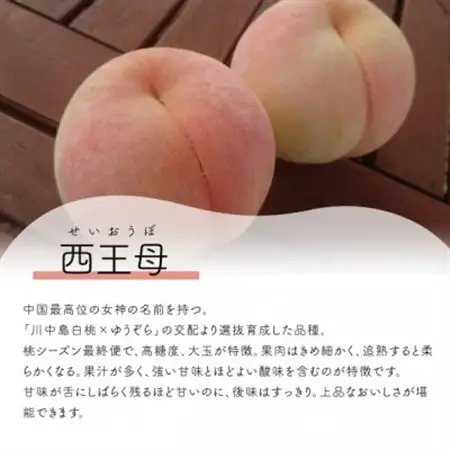 女神の名を持つ希少な晩生桃「西王母」 上級品 4-6玉 (岡山県産)【配送不可地域：離島】【1696629】