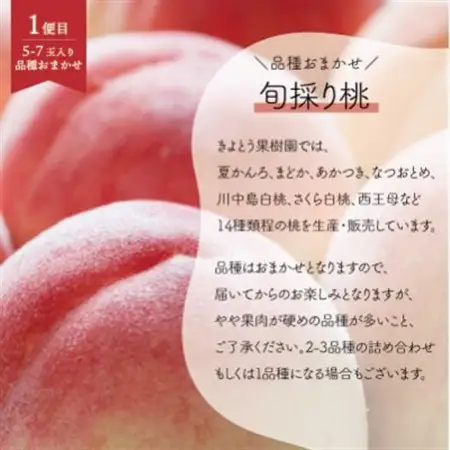 【発送月固定定期便】桃、ピオーネ、シャインマスカットの岡山フルーツ満足便 (岡山県産)全3回【配送不可地域：離島】【4078169】