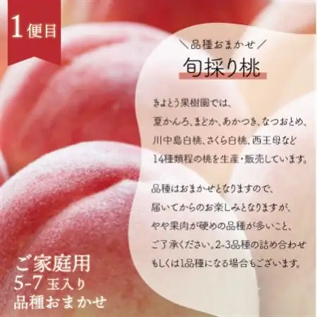 【発送月固定定期便】桃、ピオーネ、シャインマスカットをお届け!岡山フルーツ満足便 (岡山県産)全3回【配送不可地域：離島】【4078281】