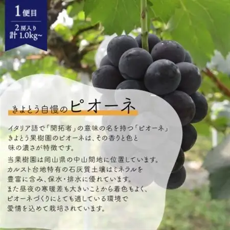 【発送月固定定期便】ピオーネとシャインマスカットの人気便 (2房入/1.0kg) (岡山県産)全2回【配送不可地域：離島】【4078996】