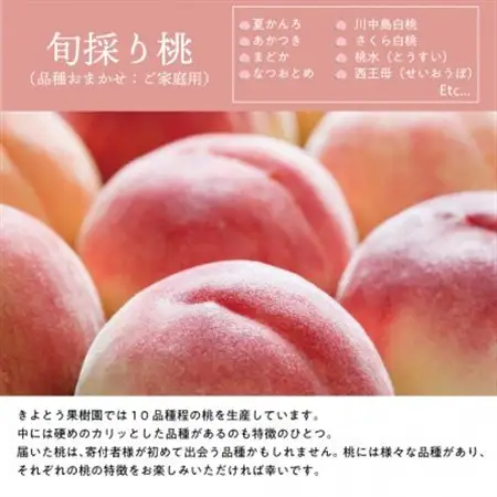【発送月固定定期便】桃、ピオーネ、シャインマスカットが各月届く、夏の満足便! (岡山県産)全3回【配送不可地域：離島】【4078998】