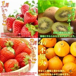 旬の果実 定期便 12回 フルーツ 