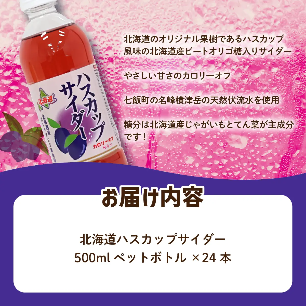 ハスカップサイダー24本（500mlペットボトル） NAQ009