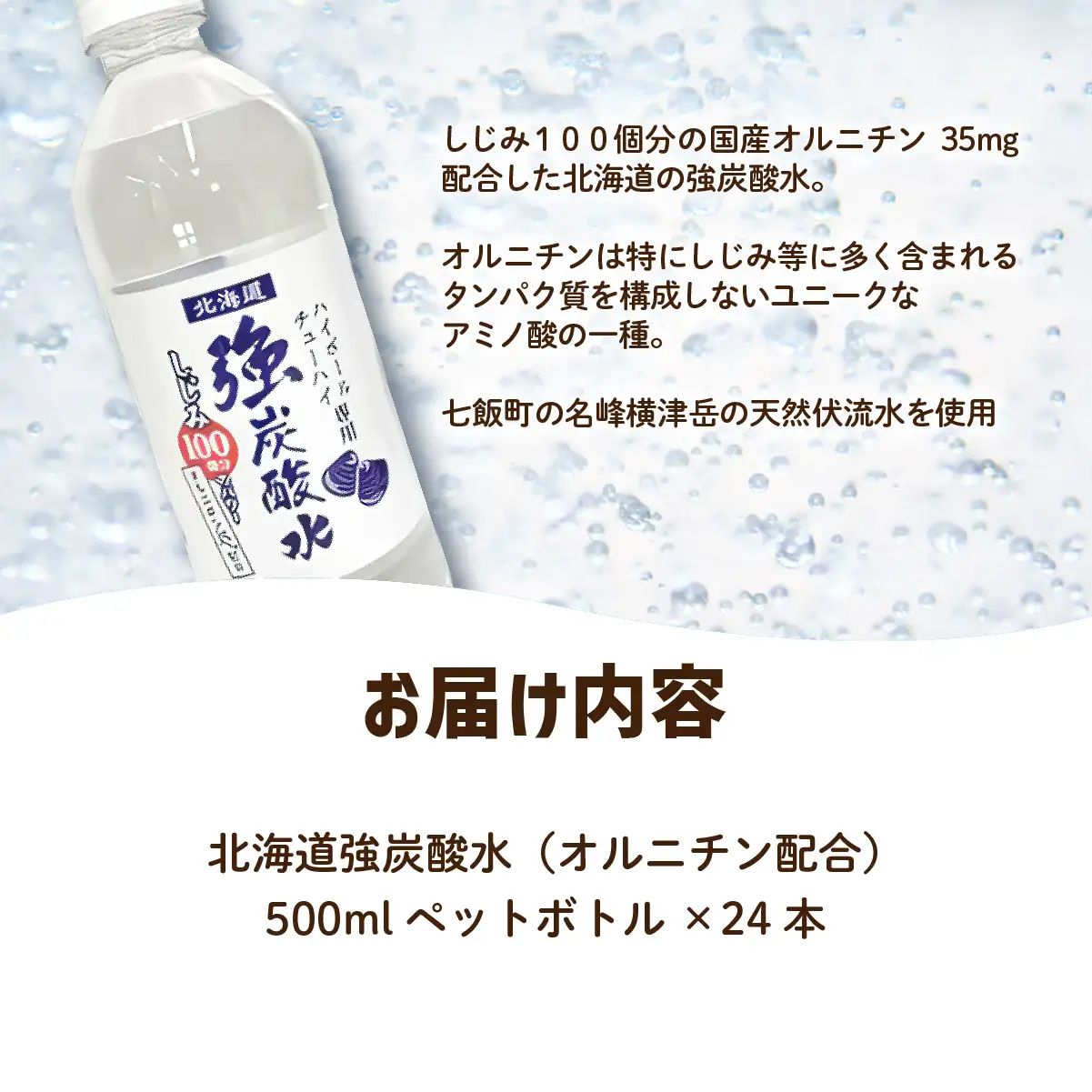 北海道強炭酸水（オルニチン配合）（500mlペットボトル） NAQ011