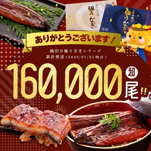 楠田の極うなぎ白焼き 2尾(有頭130g以上×2尾) こだわり真空パックで肉厚の国産鰻をお届け！ウナギ本来の旨味を味わえます！鰻 ウナギ 白焼き うな重 ひつまぶし 鹿児島 冷凍 おかず お祝い a4-105