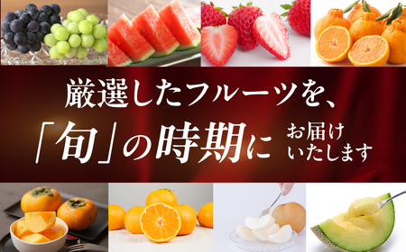 フルーツ定期便 12回 プレミアム 果物 どうまい