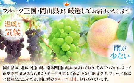 白桃&シャインマスカット（晴王）セット 大【配送不可地域あり】