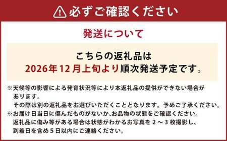 立体スイカ（2玉入り） 【2026年12月上旬発送開始】 スイカ すいか 立体すいか 果物 くだもの フルーツ 果汁 果実 2玉 贈り物 熊本県 熊本県産