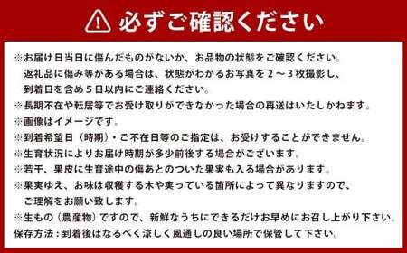 ハウスみかん13-15玉＆アールスメロン1玉セット【2026年7月上旬発送開始】 ハウスみかん みかん ミカン 13-15玉 アールスメロン メロン 1玉 セット フルーツ 熊本県産 国産 くだもの 果物 果実 果肉