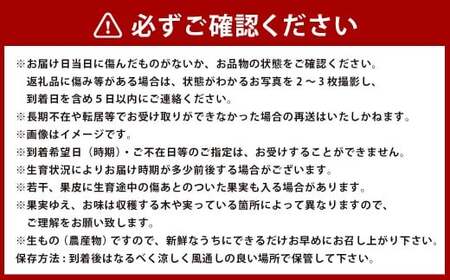 熊本県産アールスメロン1玉と立体スイカ1玉【2026年12月上旬発送開始】 熊本県産 アールスメロン 1玉  立体スイカ 1玉 国産 メロン スイカ フルーツ くだもの 果物 果実 果肉