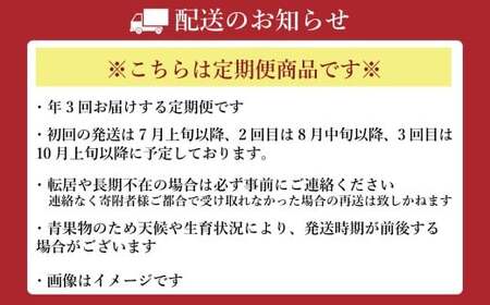 【年3回定期便】熊本おすすめフルーツ定期便C（マンゴー＆巨峰・シャインマスカット・メロン）【2026年7月上旬発送開始】 マンゴー 巨峰 シャインマスカット メロン ぶどう 葡萄 ブドウ アールスメロン 1玉 約1kg 約1.2kg  2玉 フルーツ 果物 くだもの 熊本県産 国産 定期便 定期 3回 果実 果肉