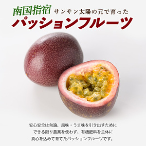 2026年 発送 パッションフルーツ 10玉～14玉 マンゴーの森 IB040-010 パッション フルーツ 果物