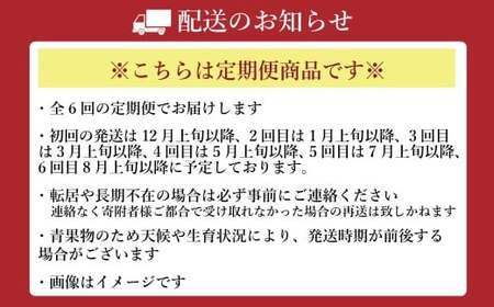 【年6回定期便】 熊本おすすめフルーツ定期便（メロン＆スイカ・いちご・デコポン・メロン・マンゴー＆巨峰・シャインマスカット） 【2026年12月上旬発送開始】 メロン スイカ いちご デコポン マンゴー 巨峰 シャインマスカット  フルーツ 果物 くだもの 定期便 年6回 熊本県 熊本県産
