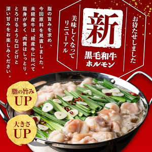 国産黒毛和牛ホルモン もつ鍋セット(6～9人前)  黒毛和牛 肉 牛肉 国産 もつ鍋 モツ鍋 ホルモン タレ 鍋 焼肉 バーべキュー 小分け a4-100