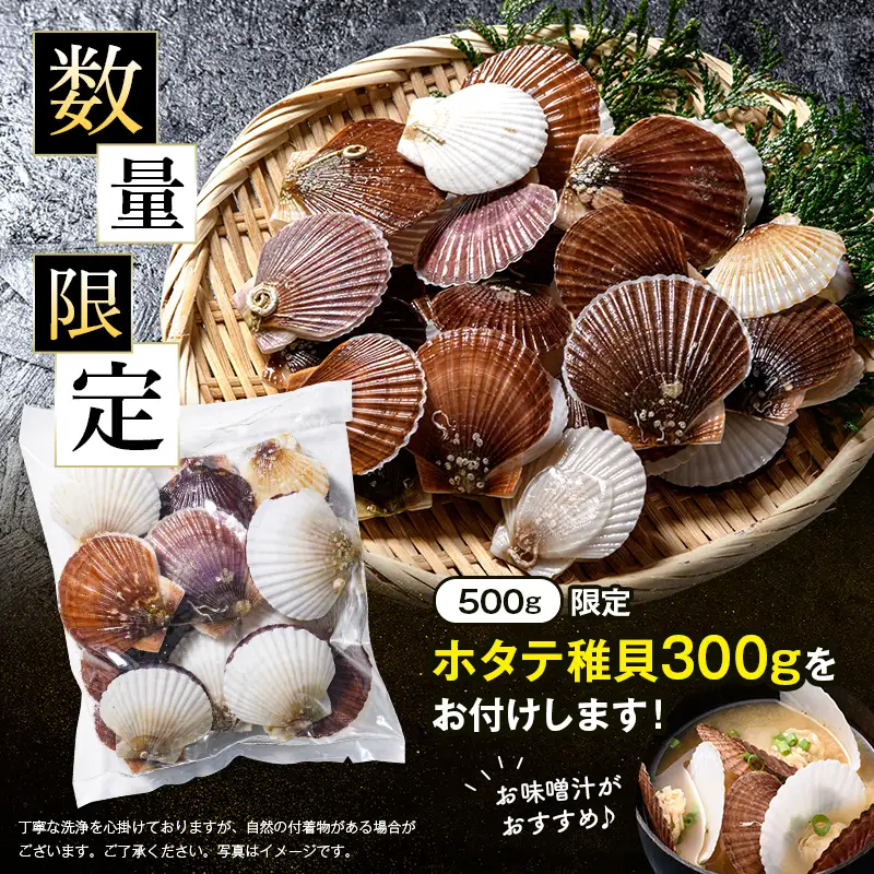 【バリュー品】ホタテフレーク貝柱500g＋ ホタテ稚貝300gセット 北海道産 不選別 訳あり mr1-1257