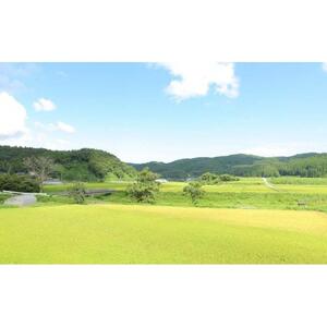 【復興支援】【12回定期便】お米2kgと5kgが交互に1年間届く！こりゃまいじゃ精米(奥能登柳田地区限定コシヒカリ)