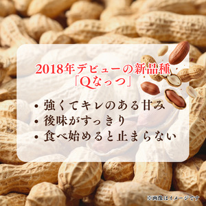 から煎り落花生　Qなっつ