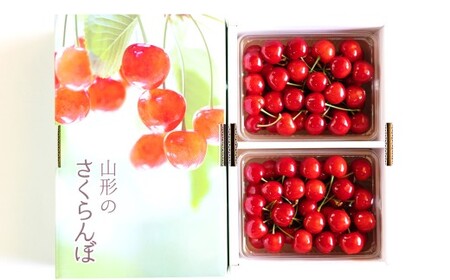 【令和8年産先行予約】 温室さくらんぼ 「紅秀峰」 約700g (特秀 L以上) バラパック詰め 《令和8年5月下旬～発送》 『松田観光果樹園』 サクランボ 生産農家直送 温室栽培 果物 フルーツ デザート 先行予約 山形県 南陽市 [2619]