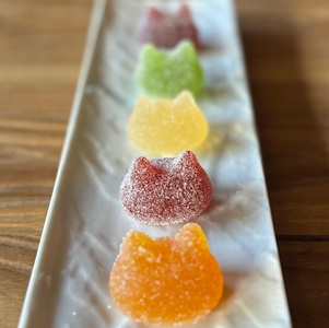 しょこら亭 シャ・ド・フリュイ（chat・do・fruits） 10個入×2セット お菓子 菓子 スイーツ 洋菓子 フランス伝統菓子 贈答 1Z39023