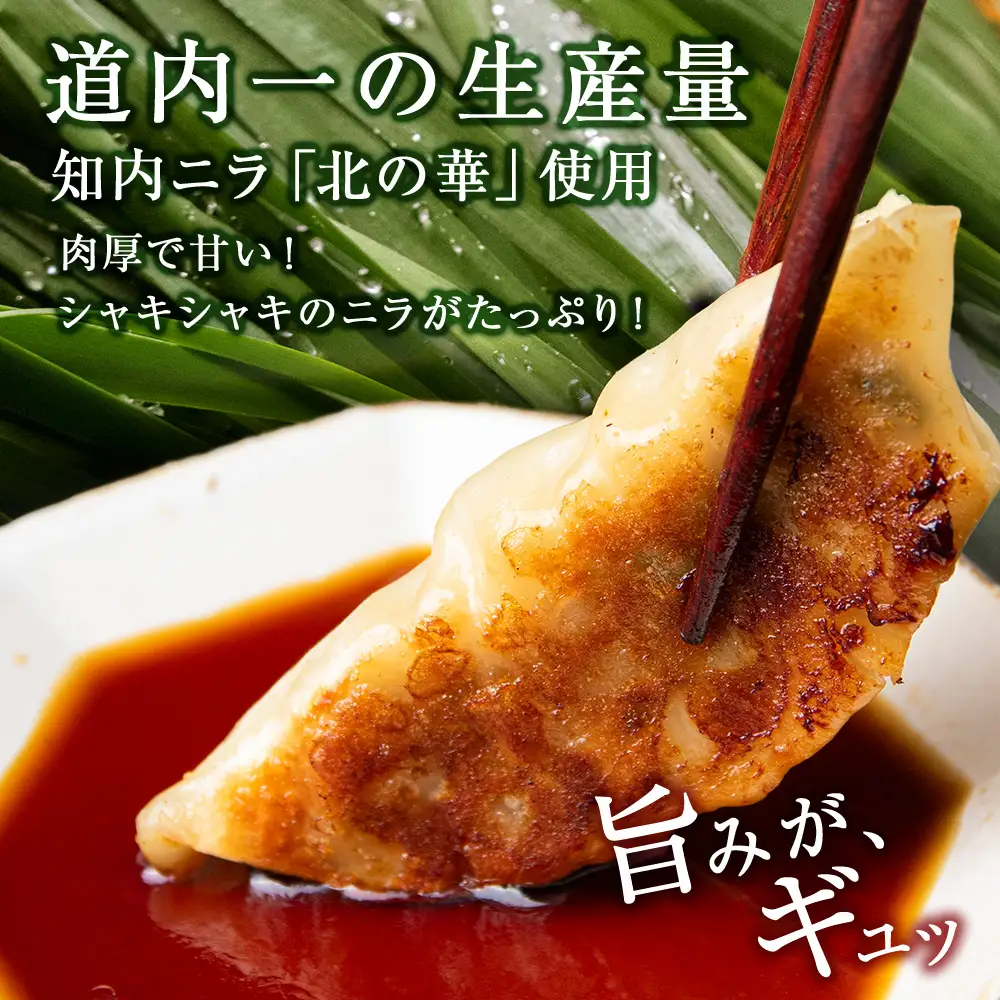 知内ニラ餃子（10個入り）3袋【知内観光協会】