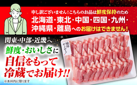 【12回定期便】※冷蔵配送/地域限定※ 岐阜県産 豚 瑞浪ボーノポーク 焼肉セット 1kg (バラ・肩ロース) 瑞浪市 / きなぁた瑞浪[AZCI049]