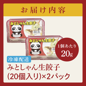 旨味たっぷり！本場プロの中華料理人が作る みとしゃん生餃子 40個（CS-2）