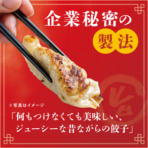 旨味たっぷり！本場プロの中華料理人が作る みとしゃんジャンボ餃子 20個（CS-4）