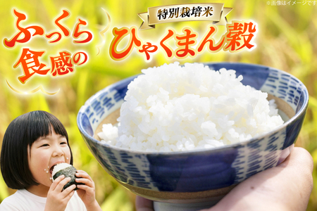 米 令和7年産 特別栽培米 ひゃくまん穀 5kg 白米 [合同会社NotoSunriseFarm 石川県 宝達志水町 38601322]