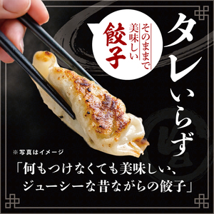 旨味たっぷり！本場プロの中華料理人が作る みとしゃんジャンボ餃子プレミアム 16個（CS-8）