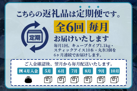 定期便 (6回定期便) さがん氷 バラエティセット 【キューブタイプ1.1kg・スティックアイス10本・丸氷3個】G-69 藤津製氷 こおり 氷 ロック アイス 佐賀 鹿島 九州