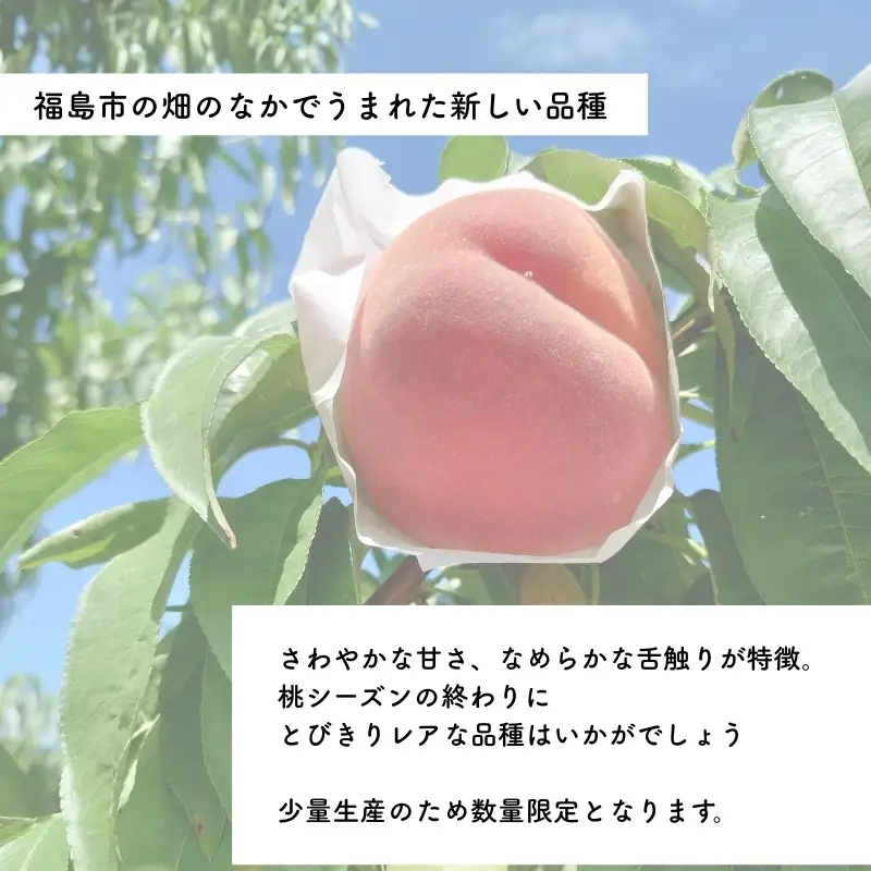 No.3234 福島のもも「愛みさき」 約2kg