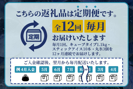 定期便 (12回定期便) さがん氷 バラエティセット 【キューブタイプ1.1kg・スティックアイス10本・丸氷3個】L-54 藤津製氷 こおり 氷 ロック アイス 佐賀 鹿島 九州