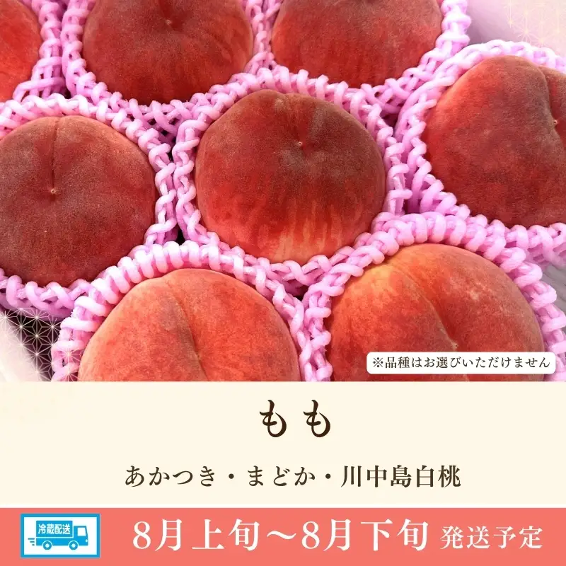 No.3264 道の駅ふくしま 福島市産 もも　約1.5kg（4玉～5玉）【2026年発送】