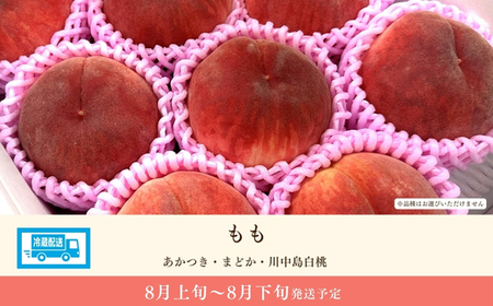 No.3265 道の駅ふくしま 福島市産 もも　約2kg（5玉～6玉）【2026年発送】
