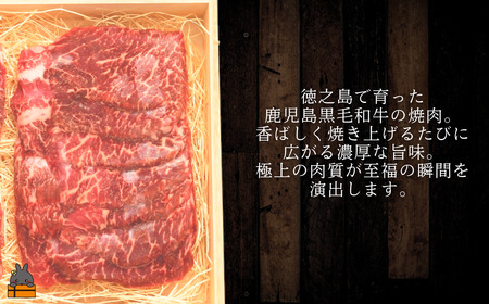 南原（はいばる）牧場 幻の徳之島牛 カルビ焼肉 600g ( 厳選 焼肉 プレミアム 高品質 鹿児島黒毛和牛 黒毛和牛 牛肉 万能 料理 徳之島 奄美 鹿児島 和牛ギャング )