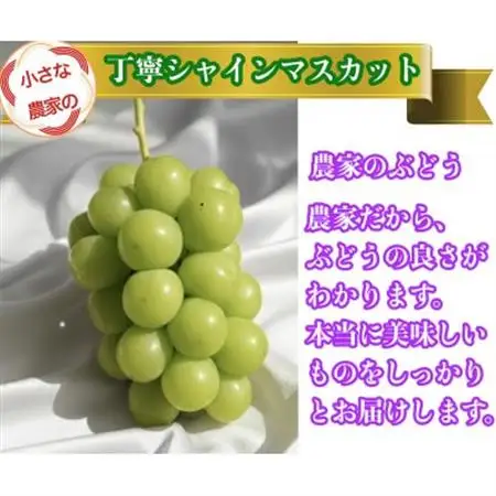 小さな農家の丁寧シャインマスカット計1kg2房入り【配送不可地域：離島】【1699611】