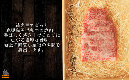 南原（はいばる）牧場 幻の徳之島牛 特上カルビ焼肉 300g ( 厳選 焼肉 プレミアム 高品質 鹿児島黒毛和牛 黒毛和牛 牛肉 万能 料理 徳之島 奄美 鹿児島 和牛ギャング )
