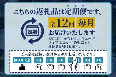 定期便 (12回定期便) さがん氷 かちわり氷 キューブタイプ 1.1kg×4袋×12回 L-56 藤津製氷 こおり 氷 ロック アイス 佐賀 鹿島 九州